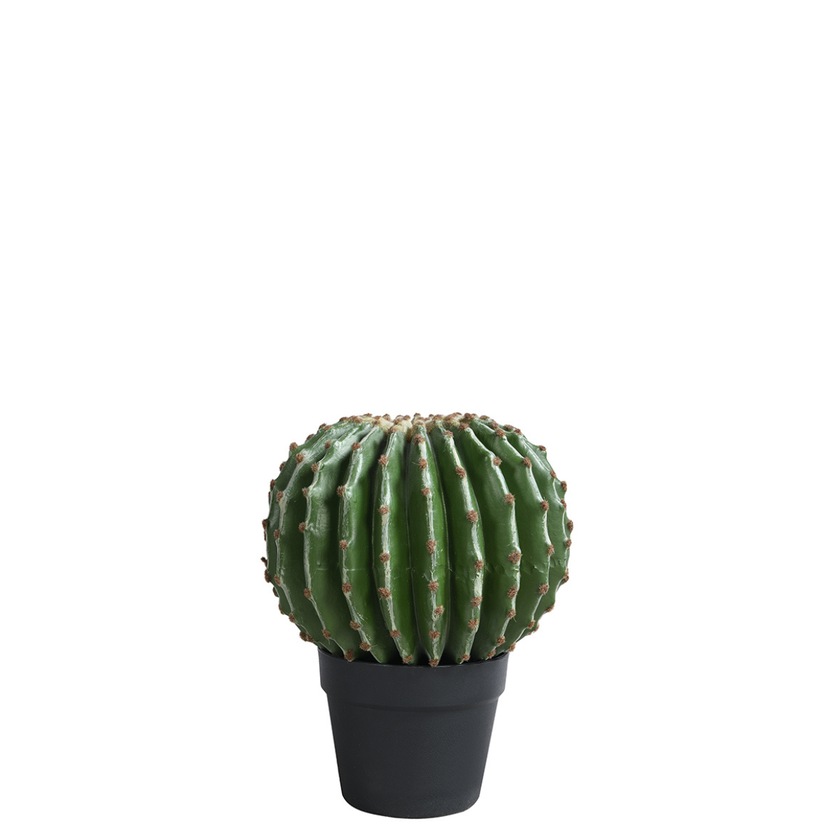 Round cactus in a pot, 31 cm