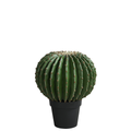 Round cactus in a pot, 43 cm