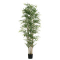 Potted bamboo 210 cm