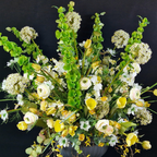 Imperial Fritillaria Stem