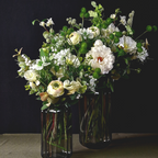 Burdock Foliage and Seeds
