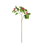 Japanese Holly Branch